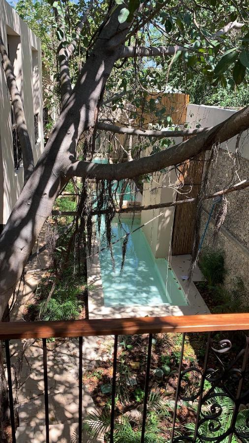 Treehouse Boutique Hotel, An Adults Only Boutique Hotel Mérida Dış mekan fotoğraf