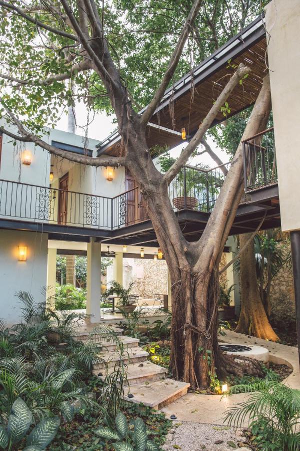 Treehouse Boutique Hotel, An Adults Only Boutique Hotel Mérida Dış mekan fotoğraf